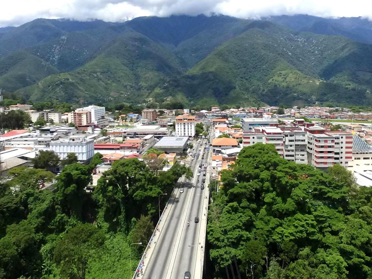 The transgression of space. Five years of an endogenous cultural&nbsp;park