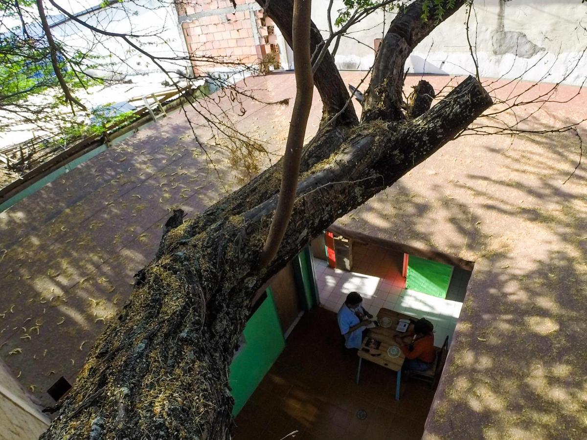 Pillo Peraza y la vivienda&nbsp;auténtica