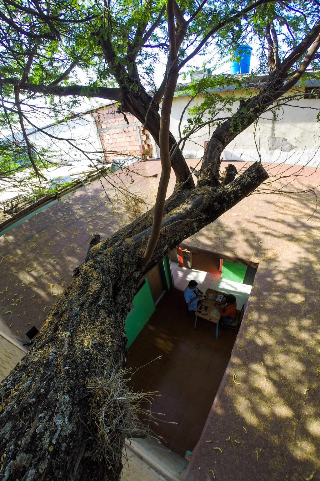 Pillo Peraza y la vivienda&nbsp;auténtica